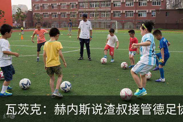 瓦茨克：赫内斯说渣叔接管德足协？纳帅和弗里克还来自拜仁呢